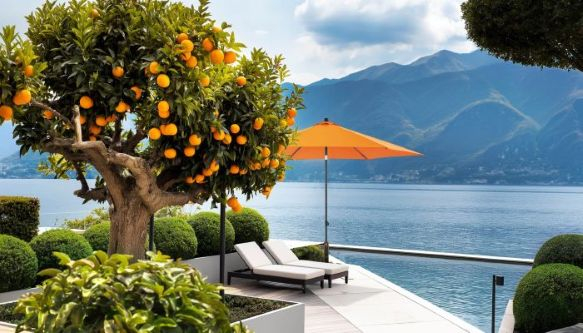 Mittelstockschirme - banner