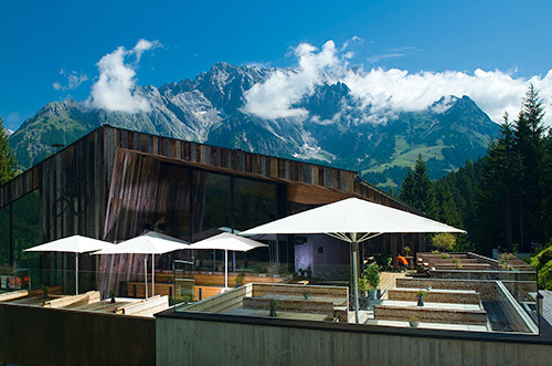 Marktschirm - banner