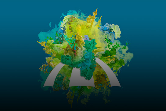 Gewerbe_Werbeschirme