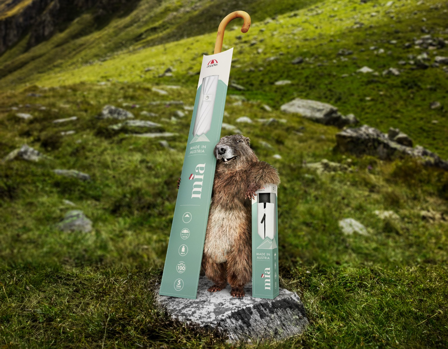 mia Regenschirme mit Murmeltier in der natur mia Regenschirme mit Murmeltier in der natur